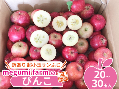 青森県鰺ヶ沢町産りんご megumi farmのぴんこ【訳あり 超小玉サンふじ】（20～30玉入） 果物類 フルーツ 産地直送 世界自然遺産りんご飴 甘口 安全 安心 