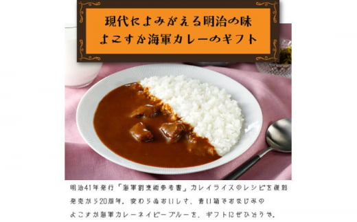 よこすか海軍カレー180g×8 ビーフカレー 海軍カレー 軍艦 横須賀 自衛隊 神奈川 レトルト 非常食 保存食【横須賀商工会議所 おもてなしギフト事務局（株式会社調味商事）】 [AKAQ003]