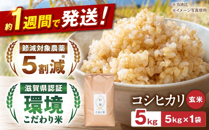 
                  玄米 コシヒカリ 5キロ 5㎏ 米 コメ お米 ご飯 おにぎり こめ 令和7年度 産地直送 ふるさと納税 滋賀県 長浜市 [AQAK001]
                