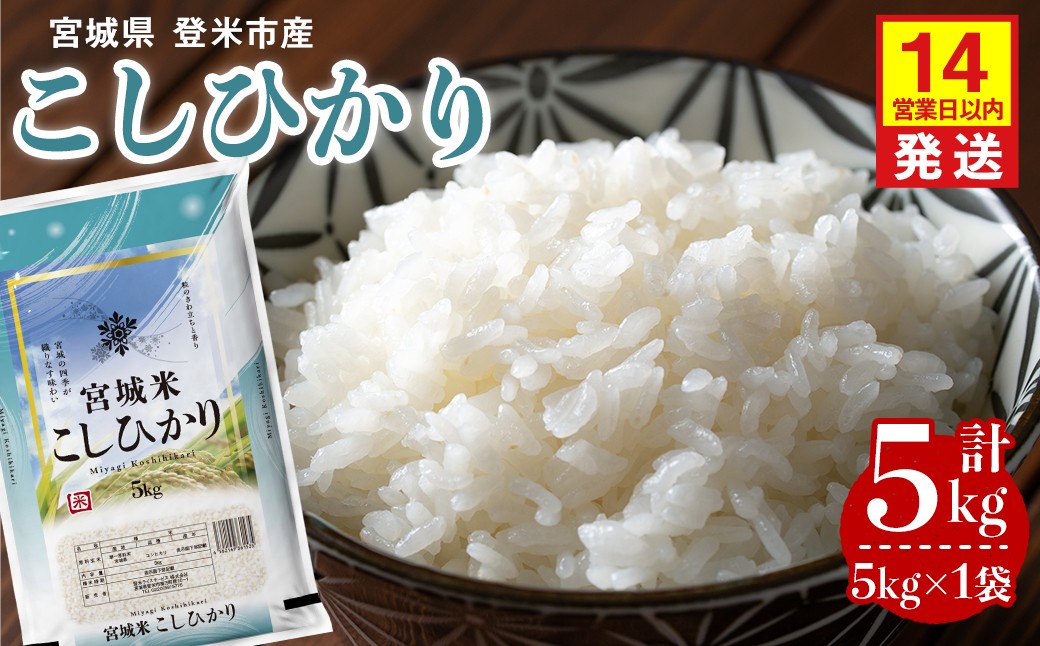 
                  【14営業日以内に発送予定】≪令和7年産≫ コシヒカリ 5kg×1袋 登米市産 お米 おこめ 米 コメ こしひかり 白米 ご飯 ごはん おにぎり お弁当 【登米ライスサービス株式会社】tm634
                
