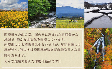 【令和8年産先行予約】 さくらんぼ 紅秀峰 約1kg 山形県庄内産　丸果庄内青果　| サクランボ フルーツ 果物 くだもの 旬 人気 美味しい 大粒 鶴岡市 先行予約 返礼品 