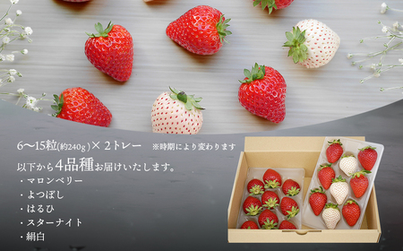 【2026年先行予約】いちご 厳選 4品種食べくらべ 約480g (約240g×2トレー) K2630