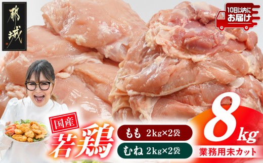 
                  【業務用】国産若鶏もも肉&むね肉8kgセット≪みやこんじょ特急便≫〔33-018-8kg-Q〕_(都城市) 鶏肉 国産若鶏 業務用 もも肉 むね肉 大容量
                