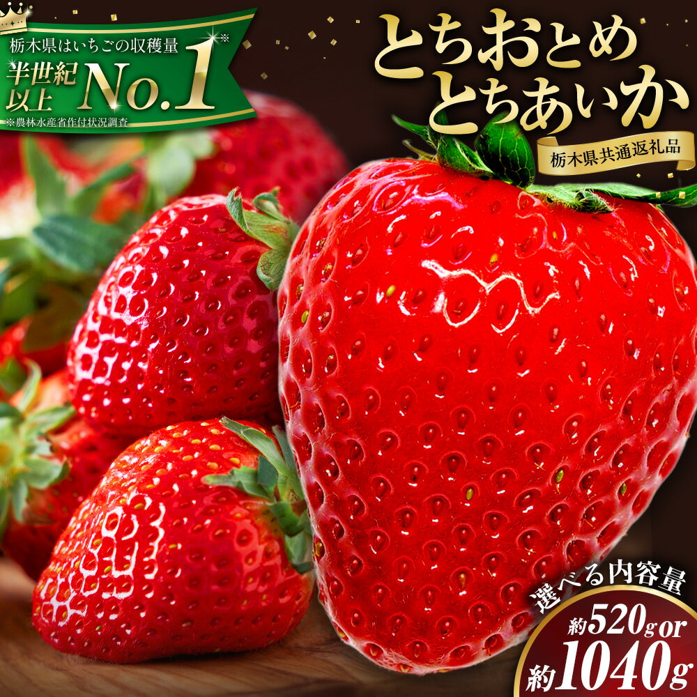 【ふるさと納税】 栃木 いちご 食べ比べ とちおとめ とちあいか 選べる 内容量 2パック 520g 4パック 1040g 《1月中旬-5月末頃出荷》 栃木県 野木町 いちご イチゴ 苺 とちおとめ とちあいか 食べ比べ 果物 フルーツ ハート型 ジューシー 【配送不可地域】沖縄・離島