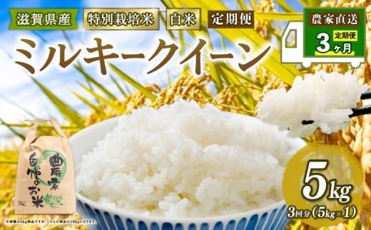 特別栽培米 ミルキークイーン 令和7年産 米 5kg 白米 定期便 3ヶ月 計 15kg みるきーくいーん 2025年産 国産 農家直送 5kg × 3回 国産 農家直送 環境こだわり お試し用 お米 こめ おこめ 農家直送 産地直送 送料無料