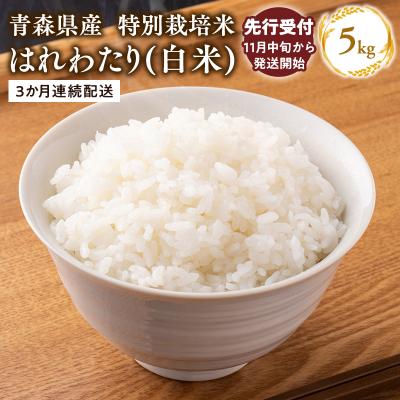 ふるさと納税 平川市 【令和7年産  配送時期:2025年11月中旬〜】3ヶ月定期便特別栽培米 はれわたり白米5kg