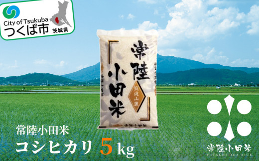 【先行予約】常陸小田米　5kg【2024年9月下旬以降に発送予定】　茨城県つくば市産コシヒカリ【 コメ こめ 米 お米 ごはん 茨城県産 】