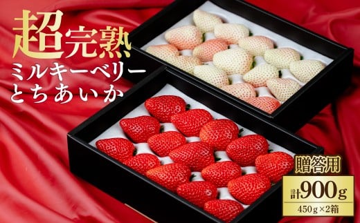 【先行受付：3月以降発送】鈴木ファームの完熟＆朝摘み とちあいか ＆ ミルキーベリー ギフト 900g (450g× 2箱) | いちご イチゴ 苺 とちあいか ミルキーベリー 完熟 甘い あまい 果物 フルーツ くだもの 旬 産地直送 栃木県産 鈴木ファーム 栃木県 茂木町