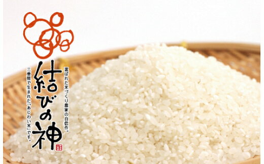 【ふるさと納税】新米先行予約 令和7年産 結びの神 精米 10kg（5kg×2）＜9月中旬～発送予定＞ R7年産 三重県 ブランド米 発送日に精米 いまずり米 低アミロース米 もっちり お米 こめ 白米 精米 おいしい ごはん 三重県 松阪市 松阪産 新米 【JAみえなか】