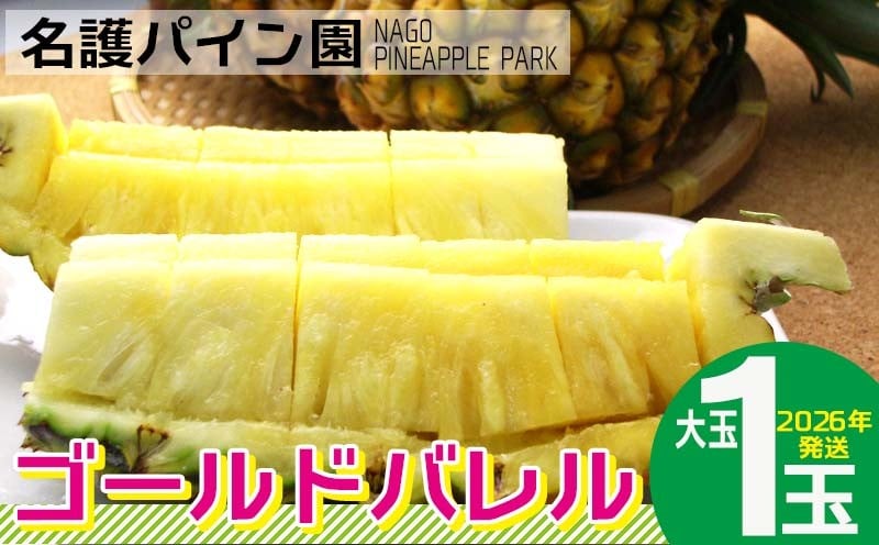
            2026年発送【名護パイン園】　ゴールドバレル（大玉1玉） 先行予約　 パインアップル パイナップル 期間限定 数量限定 フルーツ くだもの 果物 贈答 贈り物 プレゼント 人気 おすすめ 南国 お土産 ギフト デザート 青果 沖縄 おきなわ 年末
          