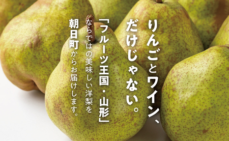 ラ・フランス 洋梨 5kg 18玉以上 特秀 【11月中旬発送】 山形県 朝日町産 山形 特産 産地直送 果物 フルーツ ラフランス 秋 山形産