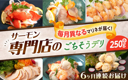 【全6回定期便】毎月異なる種類が届く♪マリネ250g [AQAJ094] マリネ