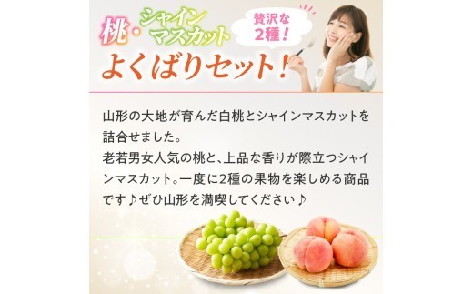 《先行受付》桃とシャインマスカットの詰合せ【2026年9月頃より順次発送予定】