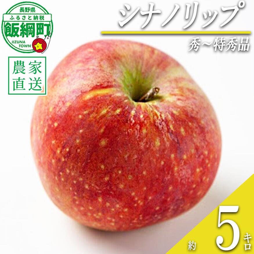 【ふるさと納税】 りんご シナノリップ 5kg 秀〜特秀 関果樹園もりんご 沖縄県への配送不可 〔 果物 フルーツ 林檎 長野 予約 農家直送 贈答用 5キロ 16000円 〕【令和8年度収穫分】 発送：2026年8月中旬〜