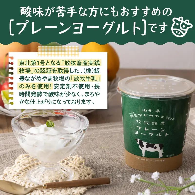 ヨーグルト のむヨーグルト プレーン セット 奥羽乳業 ヨーグルト