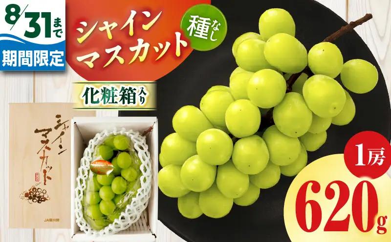 【8月31日（夏休み）までの期間限定!!】シャインマスカット　1房（約620g）化粧箱入り | シャインマスカット マスカット ぶどう ブドウ 葡萄 果物 フルーツ 新鮮 くだもの 国産 ギフト お裾分け 旬 人気 種なし 皮ごと食べられる ジューシー 糖度が高い 季節限定 おすすめ 旬の果物 香川 香川県 三木町 |_mk006-149