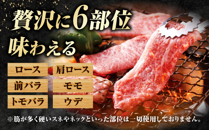 【訳あり】佐賀牛 焼肉用 切り落とし 500g / 牛肉 / 佐賀県 / 有限会社片岡精肉店 [41AEAC004]