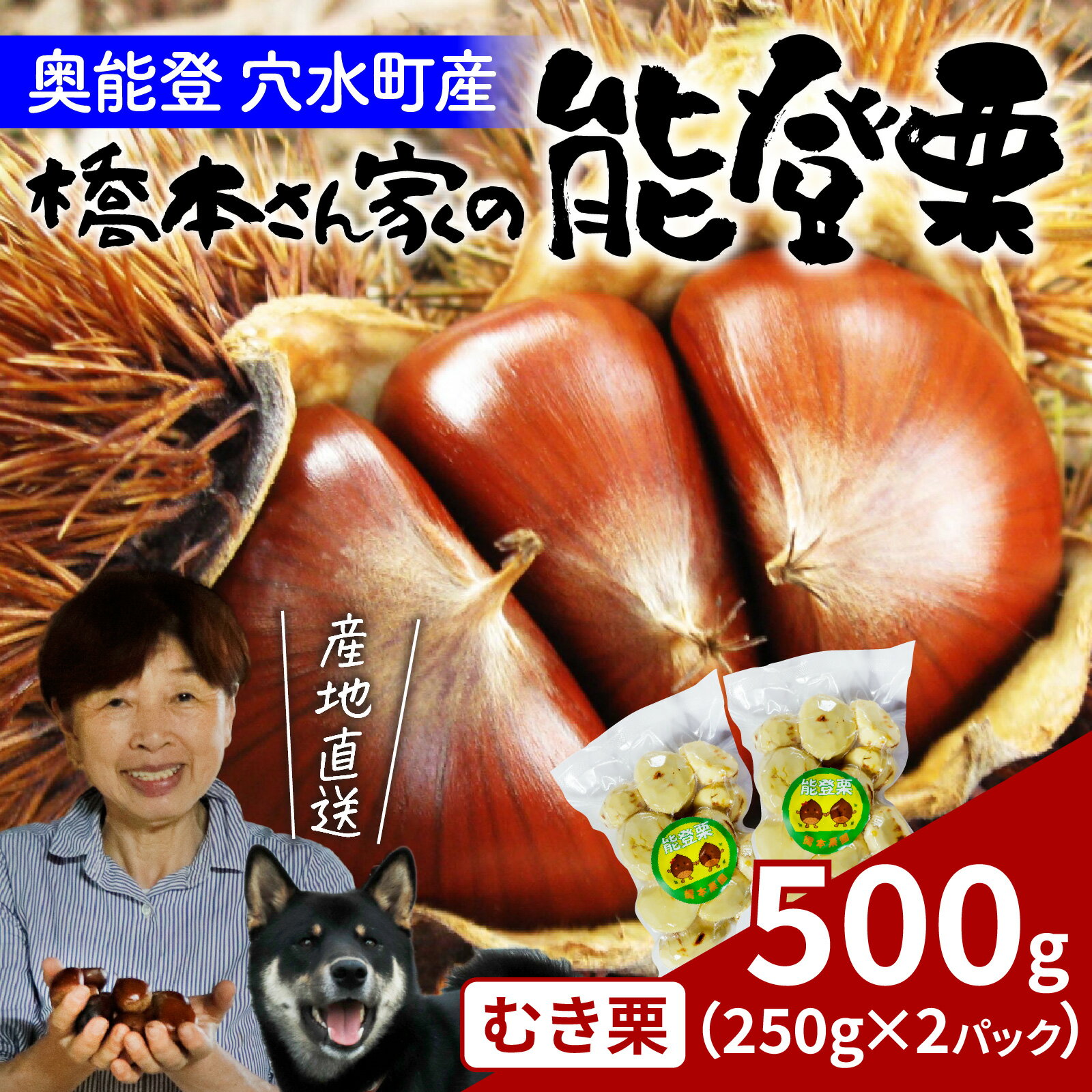 【ふるさと納税】橋本栗園の能登栗（むき栗） 250g × 2パック 計500g/ 能登半島 奥能登 くり マロン 和栗 焼き栗 栗ごはん 焼き栗 国産 果物 秋 スイーツ 甘露煮 皮むき