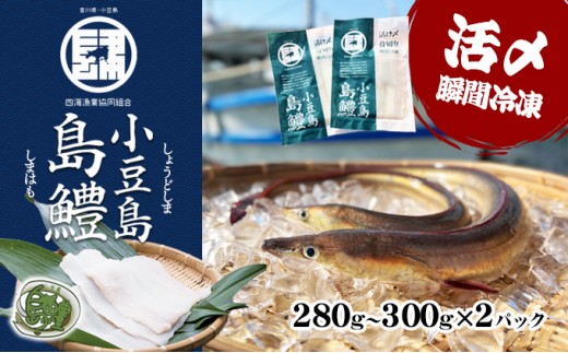 
[№5668-0253]『小豆島島鱧』活け締め骨切り瞬間冷凍
