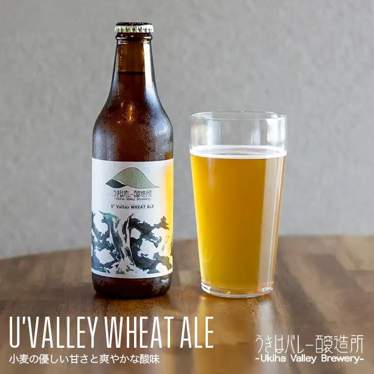 【ふるさと納税】クラフトビール 飲み比べ 4種 8本セット 地ビール ビール 瓶ビール お酒 ギフト 詰め合わせ プレゼント 家飲み お祝い お祝い返し 開店祝い 退職祝い 新築祝い おすすめ 国産 