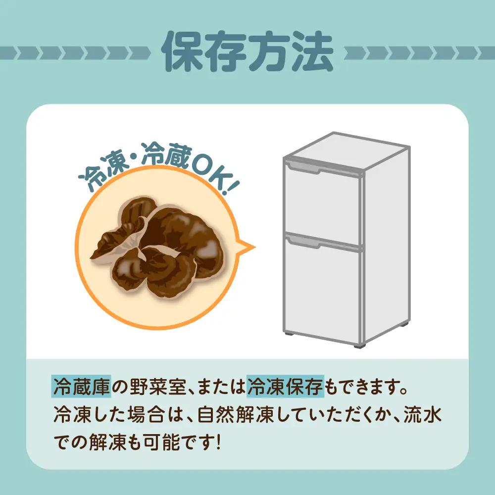 きくらげ 1kg (500g×2袋) 国産生キクラゲ木耳青森県五所川原市