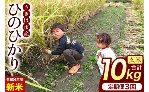 【ふるさと納税】令和8年度産 新米 玄米 ひのひかり 10kg 3ヶ月定期便 自然栽培 農薬不使用 米 お米 国産 ご飯 ごはん こめ コメ ヒノヒカリ 健康 食物繊維 腸活 ヘルシー 自然食品 ヴィーガン 家庭用 送料無料 福岡 お取り寄せ うきは市 人気 返礼品 ぶんぶんファーム
