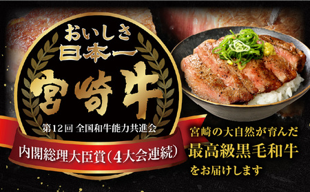 牛肉 肉 ミヤチク ステーキ 国産 宮崎牛 ヒレステーキ(150g×2枚) ロースステーキ(250g×2枚) 肉 牛肉 