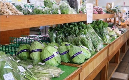 厳選・「おおばん市場」旬の野菜詰め合わせ　毎月1回1年間お届け定期便　【11246-0173】