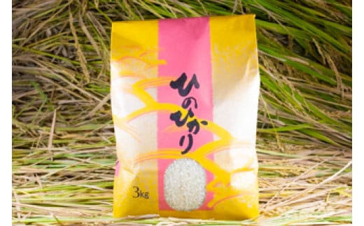 2024年秋収穫分 福岡県大川市産ヒノヒカリ 3kg【ギフト包装】   | 米 お米 こめ 白米 精米 3キロ 食品 ライス 令和6年 美味しい おいしい ご飯 ごはん 人気 おすすめ ギフト 贈り物 送料無料 ふるさと納税