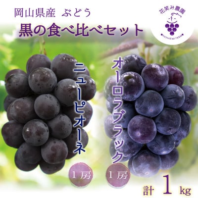 【2026年先行受付】岡山　花笑み農園の『ニューピオーネ＆オーロラブラック』1kg(2房)　PA-1【配送不可地域：離島・北海道・沖縄県】