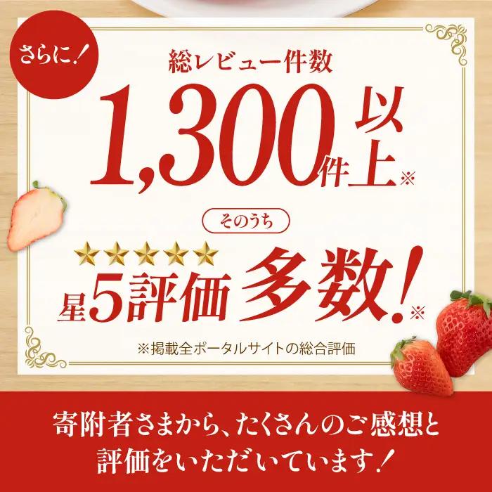 【先行予約】【2027年1月以降発送】いちご さがほのか 900g / いちご [IAA024]