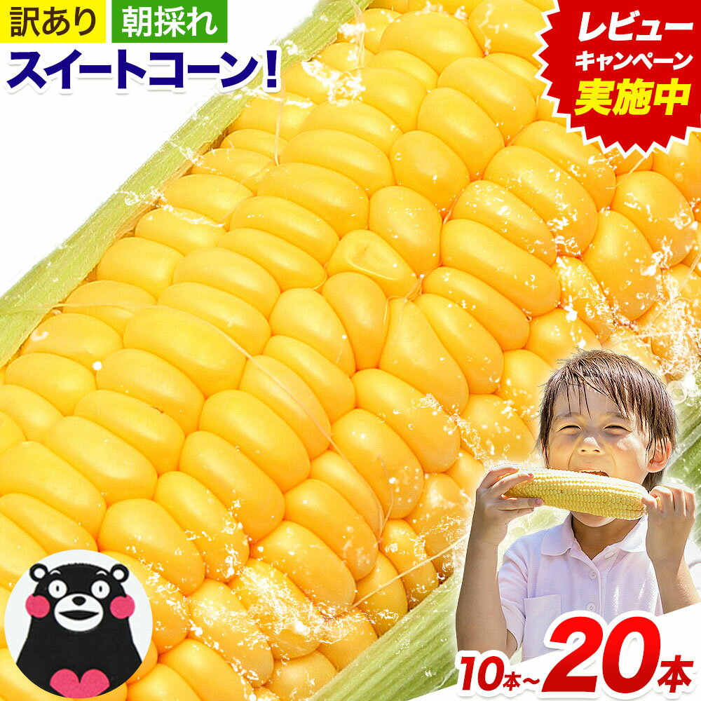 【ふるさと納税】とうもろこし 極甘 スイートコーン ゴールドラッシュ 恵味 10本 20本《7月中旬-8月上旬頃出荷予定》熊本県 産山村 野菜 夏野菜 コーン トウモロコシ 一番果 冷蔵 先行予約
