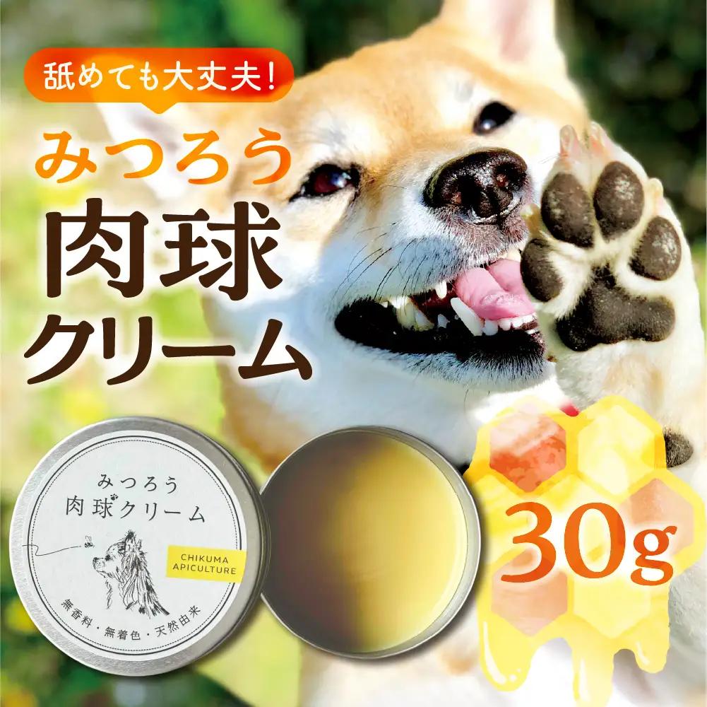 【11月～4月お届け】 国産はちみつ 肉球クリーム 【 30g 】  肉球 クリーム ペット 犬 愛犬 グッズ 国産 トチ 百花 はちみつ ハチミツ 蜂蜜 チクマ養蜂 岐阜県産
