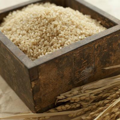 ふるさと納税 酒田市 特別栽培米 コシヒカリ 玄米 5kg×2袋 計10kg |  | 03