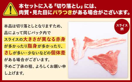 豚肉 バラエティセット 約750g《9月出荷》 豚肉豚肉豚肉豚肉豚バラロース小分け