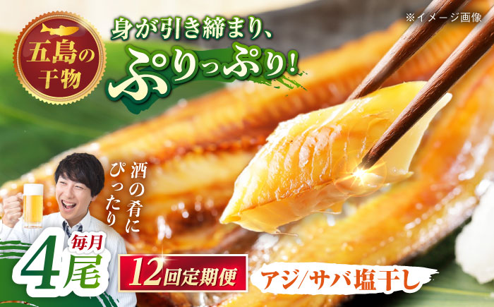 【12回定期便】【S】一夜干し 塩干し（アジ/サバ）計4尾 五島市/愛情食彩 [PCH012]