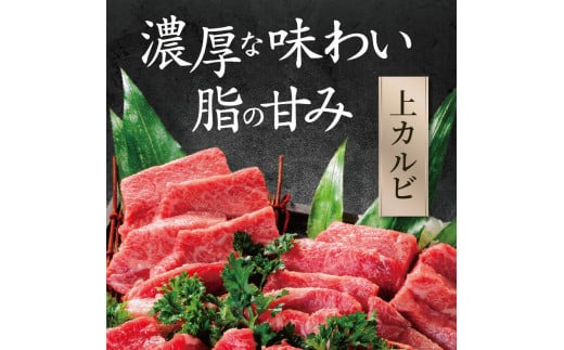 牛肉 和牛 ブランド牛 大和牛 焼肉セット【年末年始12月26日?1月7日の着日指定不可】 大和牛専門店 一 H-45