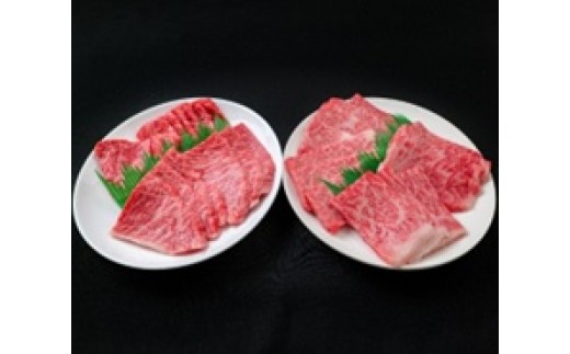 神戸ビ－フＡ５プレミアム希少部位４種盛り（600g)   ロ－ス・カルビ・霜降り肉・赤身肉     各150g