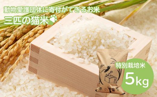 三匹の猫米/動物保護に携われる/特別栽培米 5kg