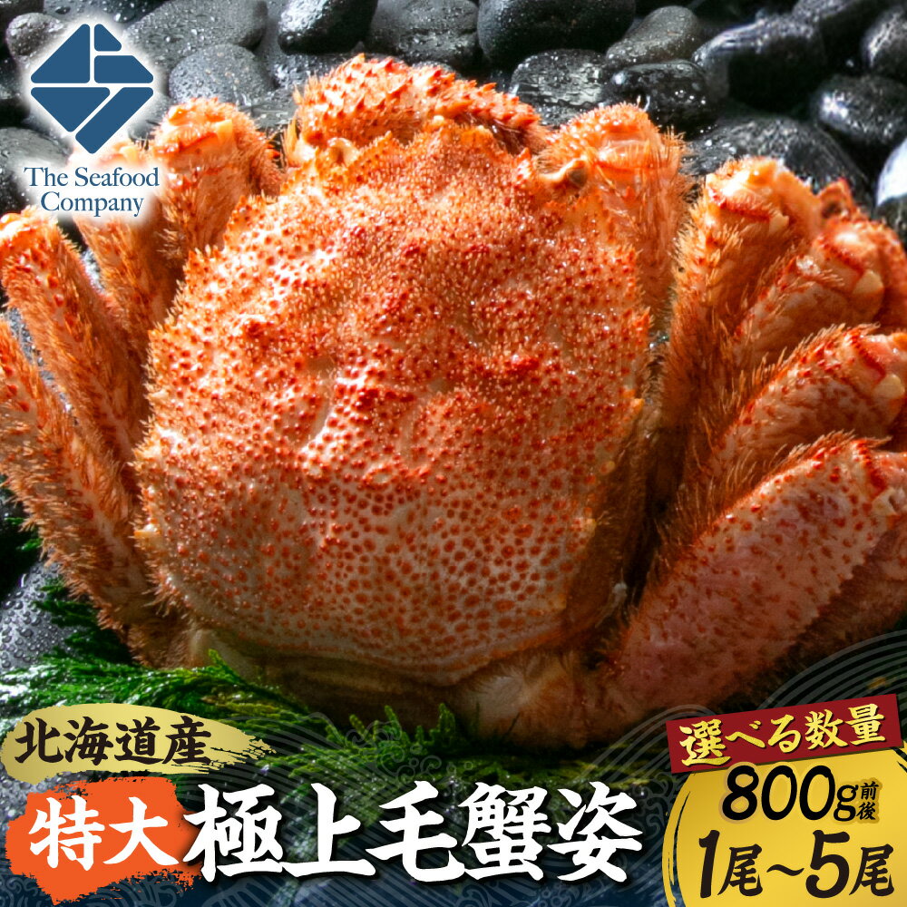 【ふるさと納税】 北海道産 特大 極上 毛蟹 【 選べる 数量 】 800g 前後 1尾～5尾 カニ 姿 1.6kg 2.4kg 3.2kg 4kg ボイル 蟹味噌 お取り寄せ グルメ かにみそ 甲羅 冷凍 国産 魚介 甲殻類 水産 海鮮 厳選 北海道 札幌市