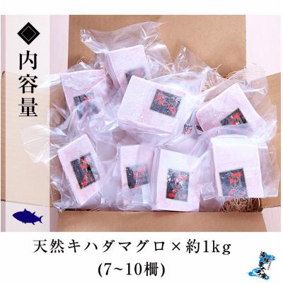 ふるさと納税 いちき串木野市 天然 キハダマグロ 1kg(100g×7〜10柵) 真空 冷凍 |  | 01