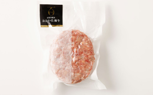 【6ヶ月定期便】【黒毛和牛】おおいた和牛ハンバーグ 計約1.02kg（約170g×6個）×6回 計約6.12kg