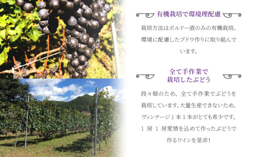 【飲み比べ】メルロー100%の無農薬ワイン！赤ワイン HIRO（2023・2019）｜メルロー 長野ワイン 東御ワイン 日本ワイン ヴィンテージ ミディアムボディ 長野 東御