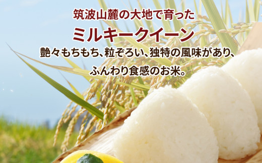 【定期便 9ヶ月】茨城県産 ミルキークイーン 精米4kg（2kg×2袋）※離島への配送不可