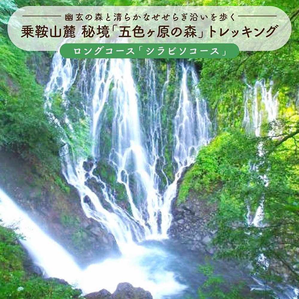 【ふるさと納税】2025・26年度シーズン 乗鞍山麓 秘境「五色ヶ原の森」トレッキング ロングコース「シラビソコース（所要8時間）」 大人2名分 | 観光 森 自然 ガイド 案内 ツアー トレッキング 飛騨高山 乗鞍山麓五色ヶ原の森 MK002