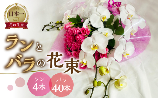 
ランとバラの花束 ラン4本 バラ 40本 花束 薔薇 胡蝶蘭 花束 生花 ギフト プレゼント 日時指定可 愛知県 田原市 70000円 7万円
