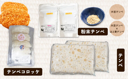 テンペ健康セットA 5種セット 矢掛テンペ 《30日以内に出荷予定(土日祝除く)》 粉末テンペ コロッケ 大豆 発酵食品 スーパーフード 岡山県矢掛町産 発酵亭