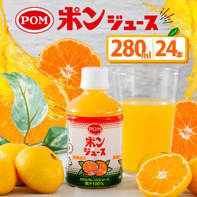 ふるさと納税 松山市 ポンジュース ペットボトル 280ml×24本