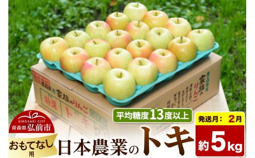 【27年2月発送】りんご トキ【おもてなし用】約5kg 平均糖度13度以上 青森県 弘前市 果物 フルーツ 林檎 リンゴ くだもの [先行受付 産地直送 アップル 青森県 弘前市]