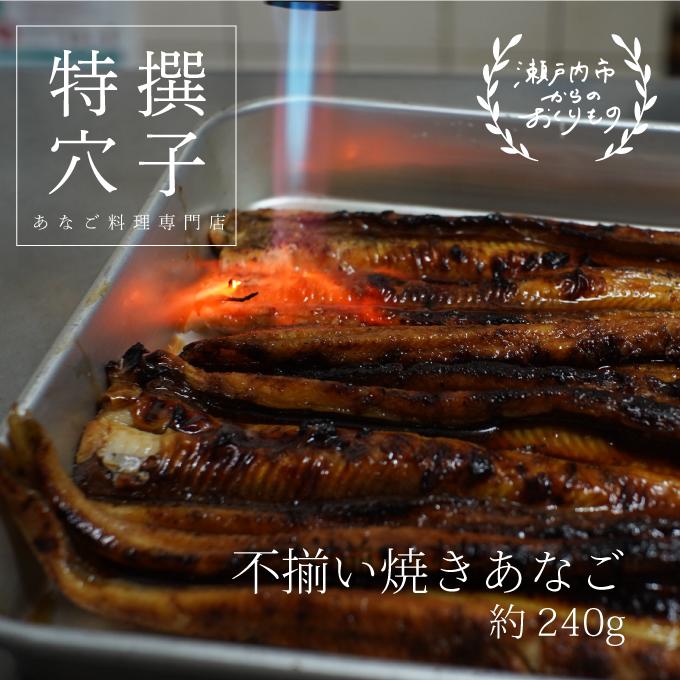 穴子 焼き穴子 240g 蒲焼き 小分け 真空パック 厳選 特選 不揃い 小ぶり 魚貝類 魚介類 おかず 和食 魚料理 青島 冷蔵 冷蔵配送 岡山 岡山県 瀬戸内市
